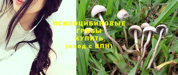 герыч Наволоки