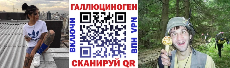 Галлюциногенные грибы Cubensis  Дрезна 